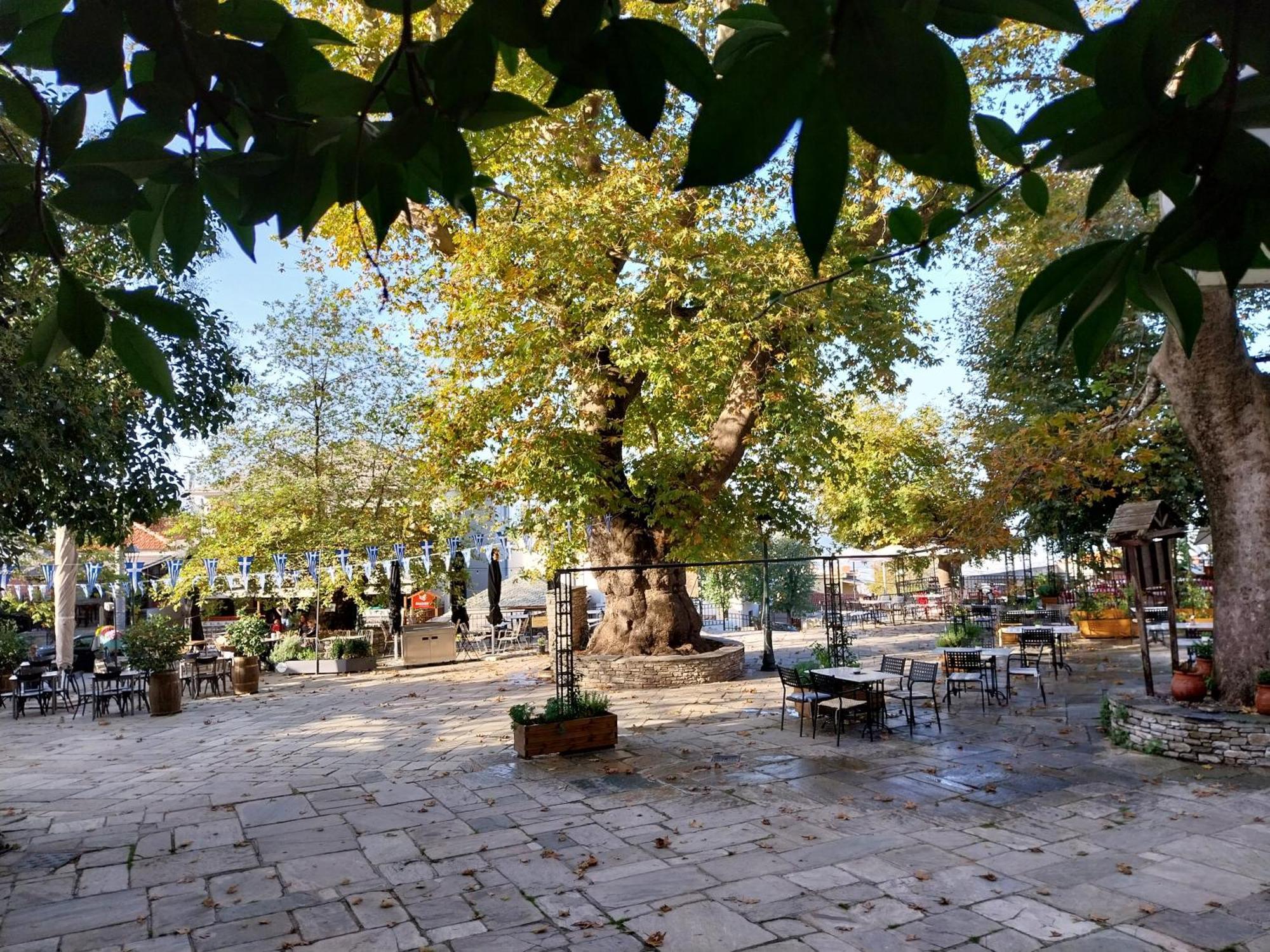Marousos Central Guesthouse Portaria  Luaran gambar